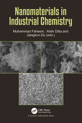 Faheem / Ditta / Du |  Nanomaterials in Industrial Chemistry | Buch |  Sack Fachmedien