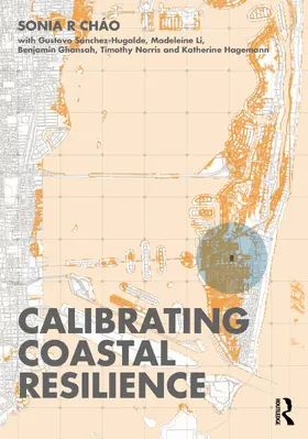 Cháo |  Calibrating Coastal Resilience | Buch |  Sack Fachmedien