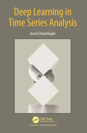 Gharehbaghi |  Deep Learning in Time Series Analysis | Buch |  Sack Fachmedien