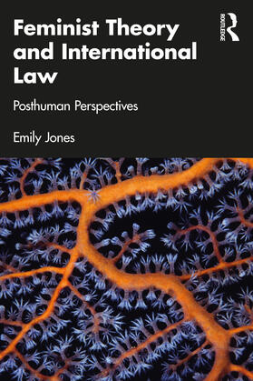 Jones | Feminist Theory and International Law | Buch | 978-1-03-242690-7 | sack.de