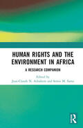 Ashukem / Sama |  Human Rights and the Environment in Africa | Buch |  Sack Fachmedien
