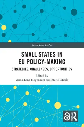 Högenauer / Mišík |  Small States in EU Policy-Making | Buch |  Sack Fachmedien