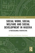 Gray / Amadasun |  Social Work, Social Welfare, and Social Development in Nigeria | Buch |  Sack Fachmedien