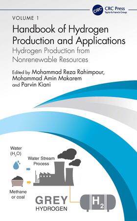 Makarem / Rahimpour / Kiani | Hydrogen Production from Nonrenewable Resources | Buch | 978-1-03-246558-6 | sack.de