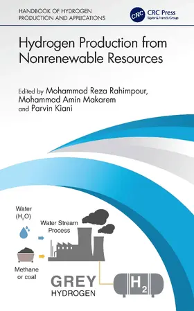Rahimpour / Makarem / Kiani |  Hydrogen Production from Nonrenewable Resources | Buch |  Sack Fachmedien