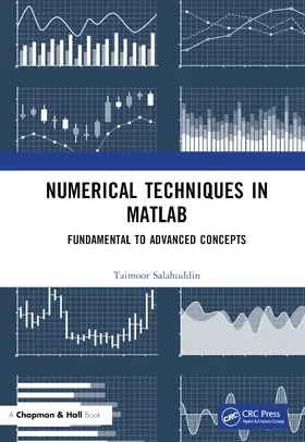 Salahuddin |  Numerical Techniques in MATLAB | Buch |  Sack Fachmedien