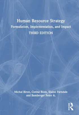 Biron / Boon / Farndale |  Human Resource Strategy | Buch |  Sack Fachmedien