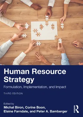 Biron / Boon / Farndale |  Human Resource Strategy | Buch |  Sack Fachmedien