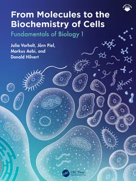 Hilvert / Vorholt / Piel |  From Molecules to the Biochemistry of Cells | Buch |  Sack Fachmedien