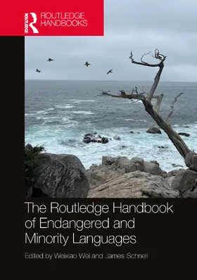 Wei / Schnell |  The Routledge Handbook of Endangered and Minority Languages | Buch |  Sack Fachmedien