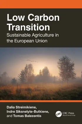 Streimikiene / Siksnelyte-Butkiene / Balezentis |  Low Carbon Transition | Buch |  Sack Fachmedien