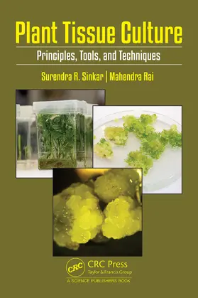 Rai / Ramrao Sinkar |  Plant Tissue Culture | Buch |  Sack Fachmedien