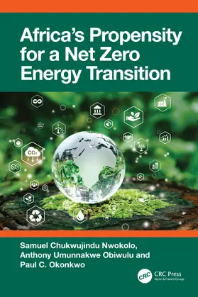 Nwokolo / Obiwulu / Okonkwo |  Africa's Propensity for a Net Zero Energy Transition | Buch |  Sack Fachmedien
