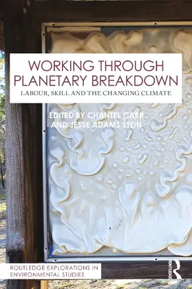 Carr / Adams Stein |  Working Through Planetary Breakdown | Buch |  Sack Fachmedien