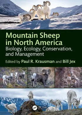 Krausman / Jex |  Mountain Sheep in North America | Buch |  Sack Fachmedien