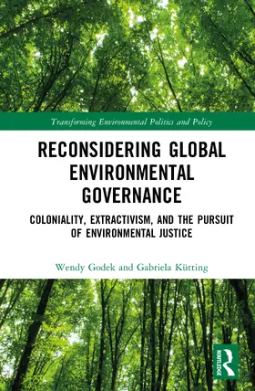 Godek / Kütting |  Reconsidering Global Environmental Governance | Buch |  Sack Fachmedien