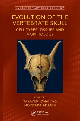 Onai / Adachi |  Evolution of the Vertebrate Skull | Buch |  Sack Fachmedien