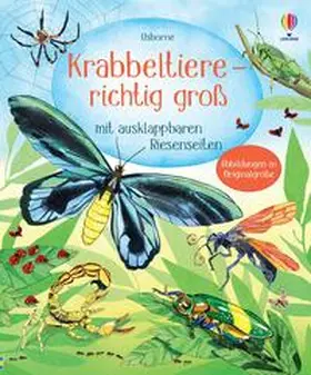 Bone |  Krabbeltiere - richtig groß | Buch |  Sack Fachmedien