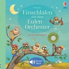 Taplin |  Einschlafen mit dem Eulen-Orchester | Buch |  Sack Fachmedien