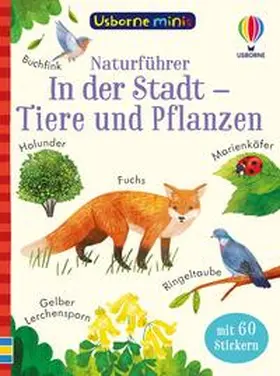 Nolan |  Usborne Minis Naturführer: In der Stadt – Tiere und Pflanzen | Buch |  Sack Fachmedien