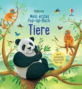 Milbourne |  Mein erstes Pop-up-Buch: Tiere | Buch |  Sack Fachmedien
