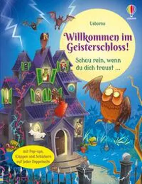 Taplin |  Willkommen im Geisterschloss! | Buch |  Sack Fachmedien