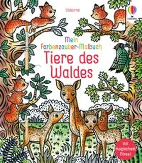 Cole |  Mein Farbenzauber-Malbuch: Tiere des Waldes | Buch |  Sack Fachmedien