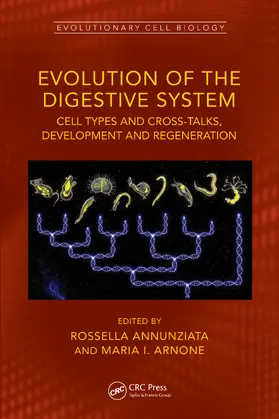 Annunziata / Arnone |  Evolution of the Digestive System | Buch |  Sack Fachmedien