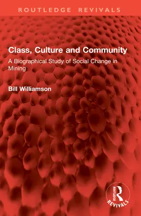 Williamson |  Class, Culture and Community | Buch |  Sack Fachmedien