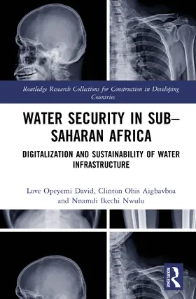 David / Aigbavboa / Nwulu |  Water Security in Sub-Saharan Africa | Buch |  Sack Fachmedien