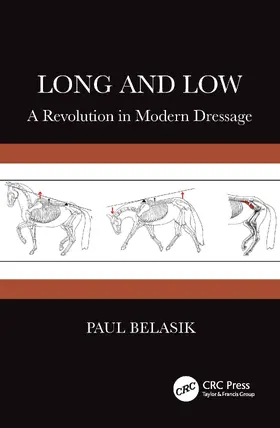 Belasik |  Long and Low | Buch |  Sack Fachmedien