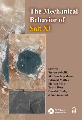 Sobolik / Ingraham / Matteo |  The Mechanical Behavior of Salt XI | Buch |  Sack Fachmedien