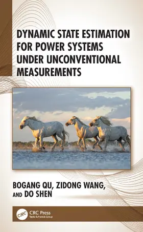 Qu / Shen / Wang |  Dynamic State Estimation for Power Systems under Unconventional Measurements | Buch |  Sack Fachmedien