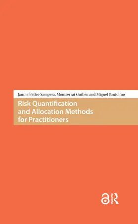 Belles-Sampera / Santolino / Guillén |  Risk Quantification and Allocation Methods for Practitioners | Buch |  Sack Fachmedien
