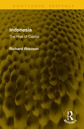 Robison |  Indonesia | Buch |  Sack Fachmedien