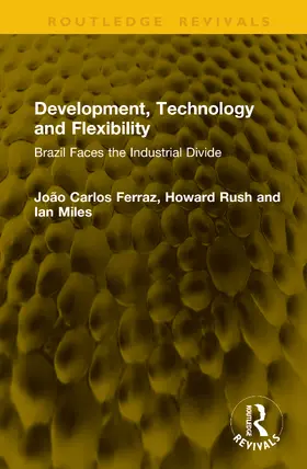 Ferraz / Rush / Miles |  Development, Technology and Flexibility | Buch |  Sack Fachmedien