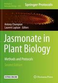 Laplaze / Champion |  Jasmonate in Plant Biology | Buch |  Sack Fachmedien