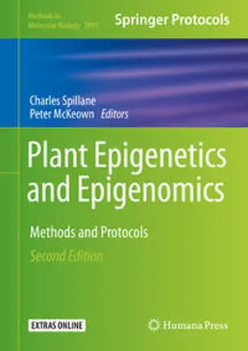 Spillane / McKeown |  Plant Epigenetics and Epigenomics | eBook | Sack Fachmedien