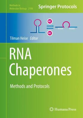 Heise | RNA Chaperones | Buch | 978-1-07-160230-0 | sack.de