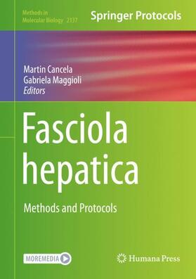 Maggioli / Cancela | Fasciola hepatica | Buch | 978-1-07-160474-8 | sack.de