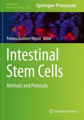 Ordóñez-Morán |  Intestinal Stem Cells | Buch |  Sack Fachmedien