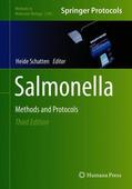 Schatten |  Salmonella | Buch |  Sack Fachmedien