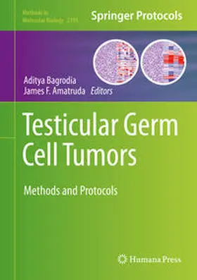 Bagrodia / Amatruda |  Testicular Germ Cell Tumors | eBook | Sack Fachmedien