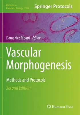 Ribatti |  Vascular Morphogenesis | Buch |  Sack Fachmedien