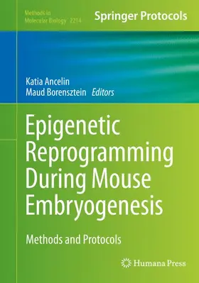 Borensztein / Ancelin |  Epigenetic Reprogramming During Mouse Embryogenesis | Buch |  Sack Fachmedien
