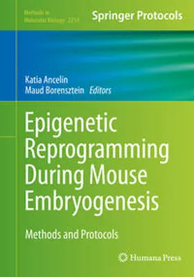 Ancelin / Borensztein |  Epigenetic Reprogramming During Mouse Embryogenesis | eBook | Sack Fachmedien