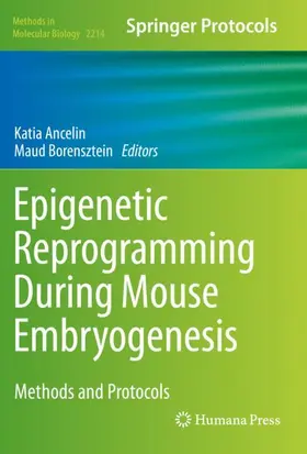 Borensztein / Ancelin |  Epigenetic Reprogramming During Mouse Embryogenesis | Buch |  Sack Fachmedien