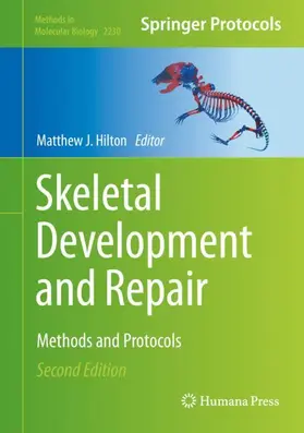 Hilton |  Skeletal Development and Repair | Buch |  Sack Fachmedien