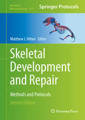 Hilton | Skeletal Development and Repair | E-Book | www.sack.de