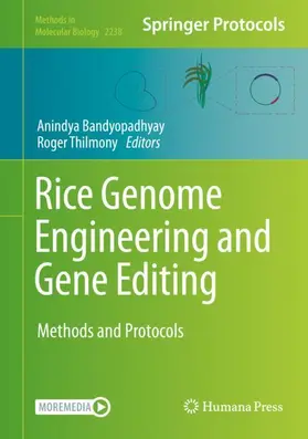 Thilmony / Bandyopadhyay |  Rice Genome Engineering and Gene Editing | Buch |  Sack Fachmedien